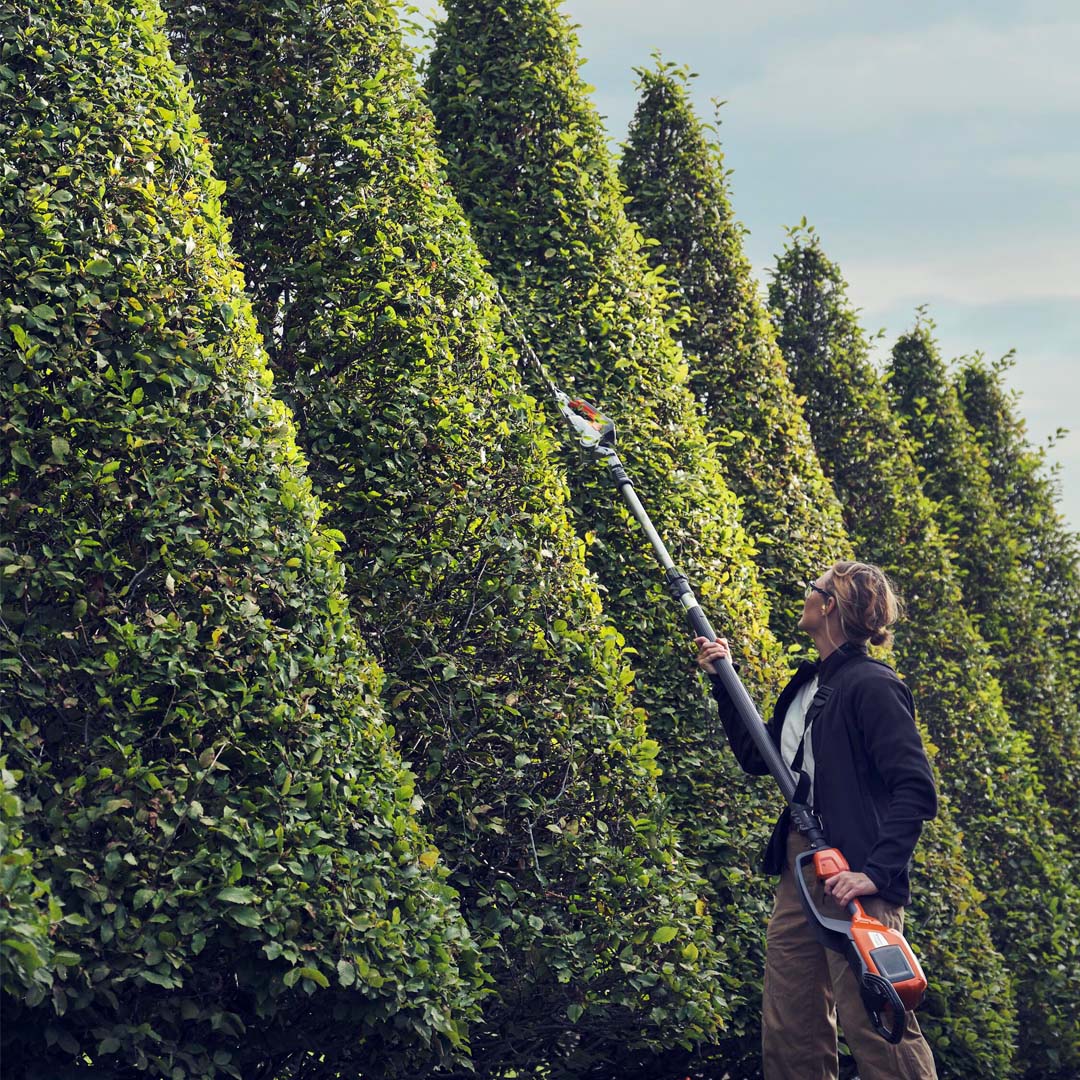 Buying Guide for Hedge Trimmers