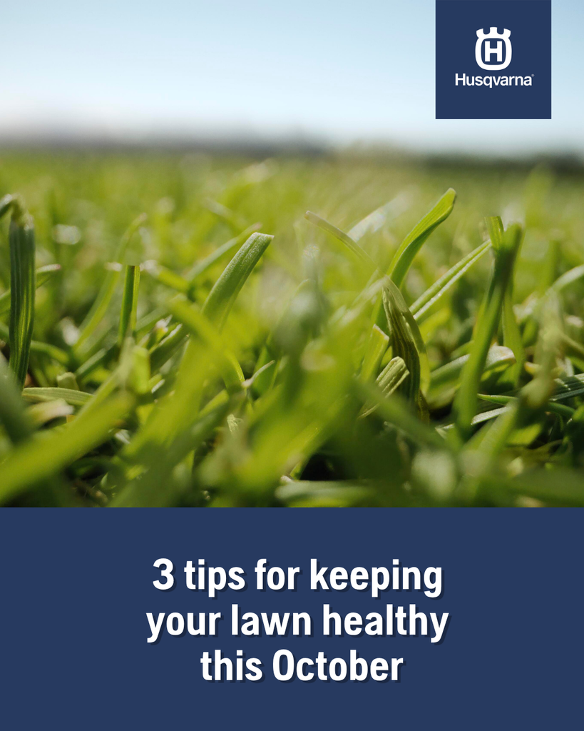 Whether you are using a Husqvarna Automower® or a traditional mower, here are 3 tips for keeping your lawn healthy this October: