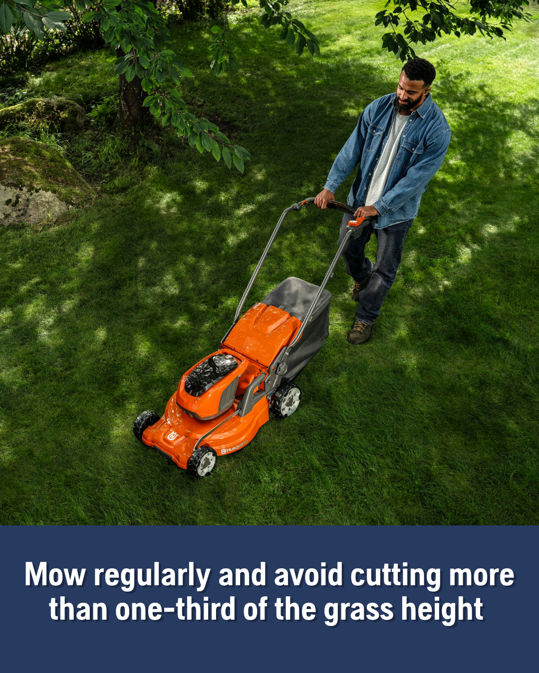 Spring means faster lawn growth. 3 tips a better lawn